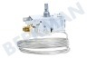 Whirlpool Koelkast Thermostaat VT920000000