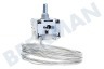 Whirlpool Koelkast Thermostaat VT920000000