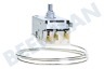 Hotpoint Koelkast Temperatuur beveiliger A13 0681R D477