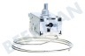 Hotpoint Koelkast Temperatuur beveiliger A13 0681R D477