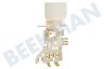 Whirlpool Kühlschrank Thermostat Ranco K59S1884500 + Lampenfassung ersetzt A13 0697