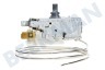 Whirlpool Kühlschrank Thermostat Ranco K59S1884500 + Lampenfassung ersetzt A13 0697