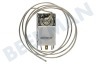 Whirlpool Koelkast Thermostaat 3 cont. Cap.L= 107cm.