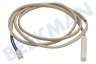 Whirlpool Koelkast 481221058082 Sensor