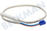 Elica Koelkast Voeler Temperatuur sensor