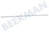 Pelgrim Koelkast 405137 Strip Glasplaat Groentelade