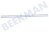 Gorenje Koelkast 380287 Strip Glasplaat