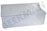 Gorenje Koelkast 447405 Groentelade