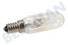 Samsung Koelkast 4713-001189 Lamp Lang model