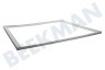 Zanussi-electrolux Kühlschrank Dichtungsgummi 520x620mm, Gefrierschrank