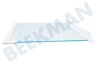 Juno-electrolux Koelkast Glasplaat Glasplaat incl. strips