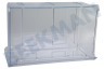 Novamatic Kühlschrank Gefrier-Schublade Transparent, unten