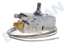 Husqvarna electrolux Koelkast Regelaar K59-L2049, 3 contacten