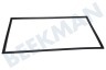Dometic Koelkast 241301033 Afdichtingsrubber Zwart