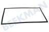 Dometic Koelkast 241301033 Afdichtingsrubber Zwart