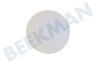 Sibir Koelkast Klinknagel