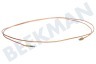 Sibir Koelkast Thermisch Element 2000mm.