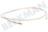 Sibir Koelkast Thermisch Element 2000mm.