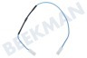 Dometic Thermische Voeler