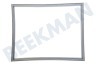 LG Koelkast ADX73590902 Deurrubber Koelkast