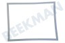 LG Koelkast ADX73590902 Deurrubber Koelkast