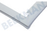 LG Koelkast ADX73591430 Deurrubber Vriezer