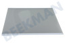 LG Koelkast AHT75340909 Glasplaat Compleet, boven de groentelade
