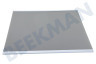 LG Koelkast AHT75340909 Glasplaat Compleet, boven de groentelade