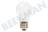 LG Koelkast Lamp 40W 240V E27 mat
