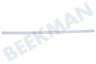 Haier Koelkast 0060220967 Strip