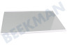 Hisense Koelkast Glasplaat Legplateau