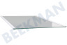Hisense Koelkast Glasplaat Legplateau