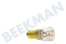Superser Gloeilamp 230V 15W E14