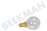 Vorwerk Gloeilamp 230V 40W E14