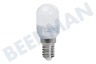 Fagor Kühlschrank 1301002600 LED Röhrenlampe 240 V 0,3 W E14 T20, 2700 K