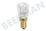 Calex 474470 Calex Pearl LED Schakelbordlamp 240V 1,0W E14 T26x60mm