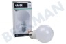 Calex 1301002900 LED Standaardlamp 4,9W E27 A60
