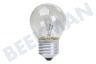 Calex 408802 LED Kogellamp Nostalgic Classic 10W E27