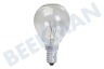 Calex 407702 LED Kogellamp Nostalgic Classic 10W E14