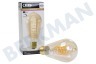 Calex 1001002000 LED Volglas Flex Filament Rustieklamp E27 5,5W