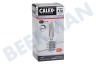 Calex 1101004300 LED Straight Filament Kogellamp Helder 4,5W E27