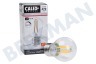 Calex 1101004300 LED Straight Filament Kogellamp Helder 4,5W E27