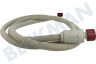Electrolux E2WIS250A Toevoerslang met waterslot, 2,5 meter, Recht/Haaks