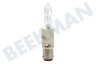 Osram Halolux Ceram Dimbaar 100W B15d 1800lm