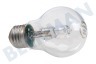 Osram Halogeenlamp Halogen Classic A 30W