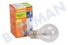 Osram Halogeenlamp Halogen Classic 116W