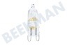 Osram Halogeenlamp Halogeen steek lamp