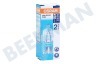 Osram Halogeenlamp Halogeen steek lamp