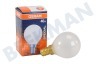 Osram Gloeilamp Special ovenlamp 300 graden