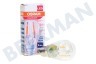 Osram 4058075616912 Parathom Special koelkastlamp T26 2.2W E14